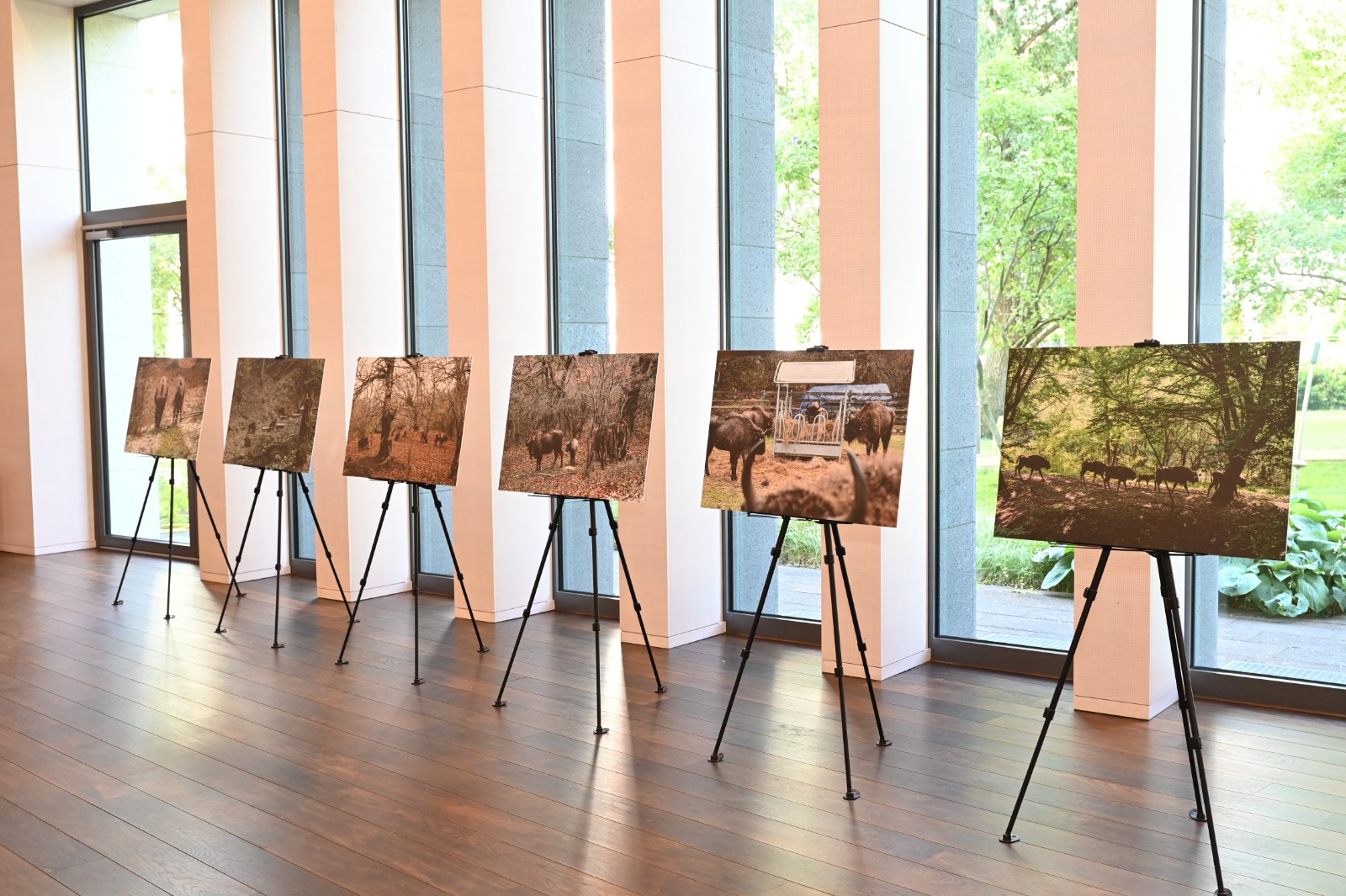 Вице-президент Фонда Гейдара Алиева Лейла Алиева находилась c рабочим визитом в Берлине (ФОТО)