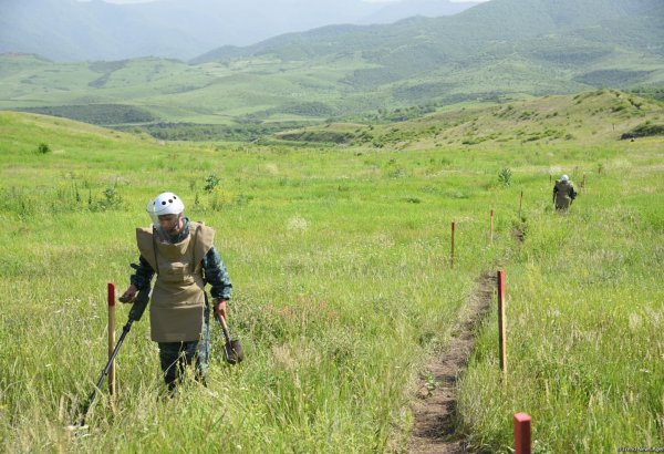 В Азербайджане физические и юридические лица смогут заниматься деятельностью по разминированию