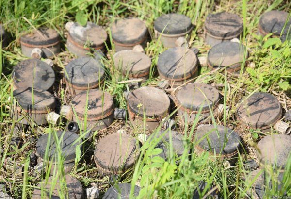 В Азербайджане устанавливаются требования к контролю качества в деятельности по разминированию