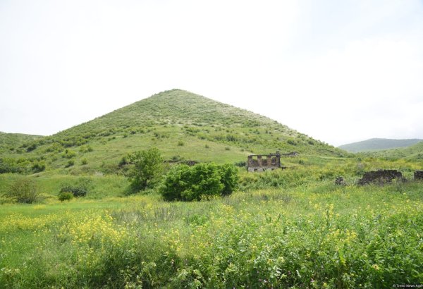 В Азербайджан пришла весна