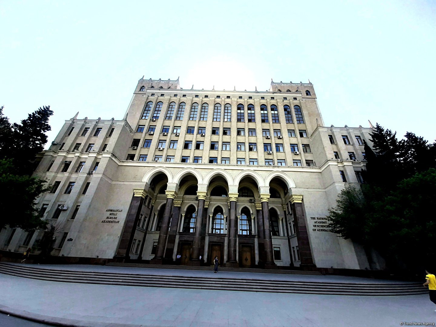 Назначен председатель Молодёжной академии НАНА