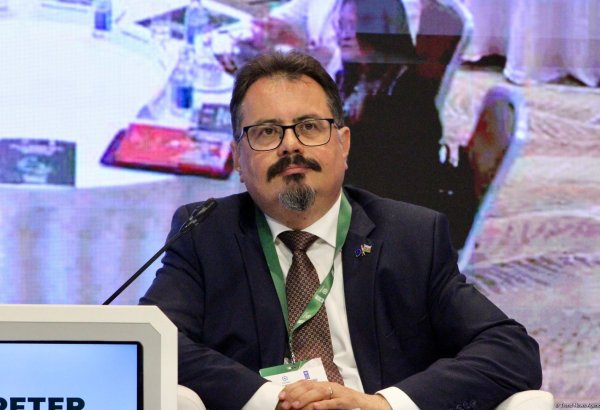 Петер Михалко выразил благодарность Азербайджану за создание устойчивых решений в вопросах разминирования