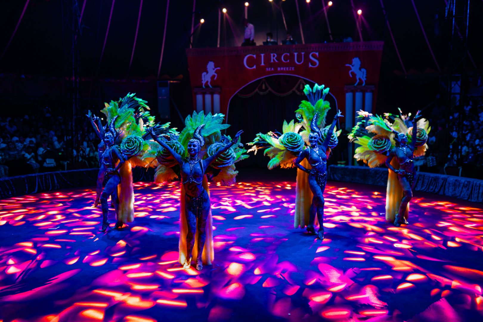 На побережье Каспия в Баку состоялось праздничное открытие Cirсus Sea Breeze (ФОТО)
