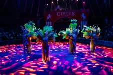 На побережье Каспия в Баку состоялось праздничное открытие Cirсus Sea Breeze (ФОТО)