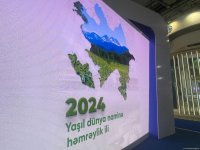 Бакинская энергетическая неделя продолжает свою работу (ФОТО)