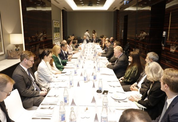 В ходе круглого стола "Сохранение динамики декарбонизации" обсуждено привлечение средств в снижение выбросов