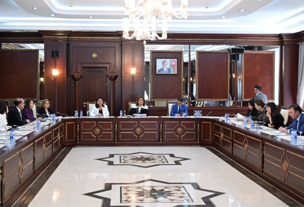 Состоялось заседание комитета парламента Азербайджана по вопросам семьи, женщин и детей (ФОТО)