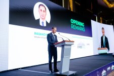 Экологическая устойчивость в центре внимания на Всемирном саммите по аэронавигации 2024 в Баку (ФОТО)