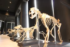 Туристический комплекс грязевых вулканов (Фоторепортаж)