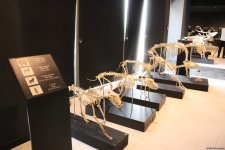 Туристический комплекс грязевых вулканов (Фоторепортаж)