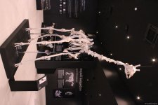 Туристический комплекс грязевых вулканов (Фоторепортаж)