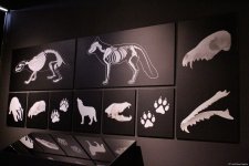 Туристический комплекс грязевых вулканов (Фоторепортаж)