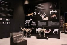 Туристический комплекс грязевых вулканов (Фоторепортаж)