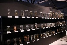 Туристический комплекс грязевых вулканов (Фоторепортаж)