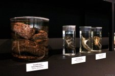 Туристический комплекс грязевых вулканов (Фоторепортаж)