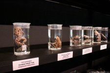 Туристический комплекс грязевых вулканов (Фоторепортаж)