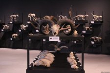 Туристический комплекс грязевых вулканов (Фоторепортаж)