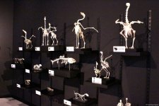 Туристический комплекс грязевых вулканов (Фоторепортаж)