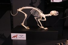 Туристический комплекс грязевых вулканов (Фоторепортаж)