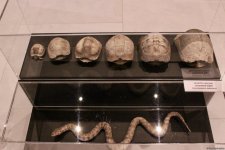 Туристический комплекс грязевых вулканов (Фоторепортаж)