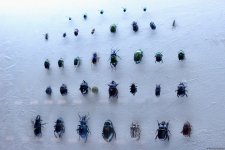 Туристический комплекс грязевых вулканов (Фоторепортаж)