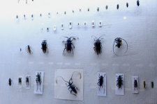 Туристический комплекс грязевых вулканов (Фоторепортаж)