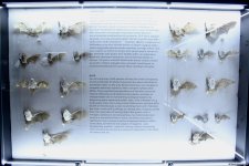 Туристический комплекс грязевых вулканов (Фоторепортаж)