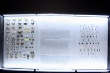 Туристический комплекс грязевых вулканов (Фоторепортаж)