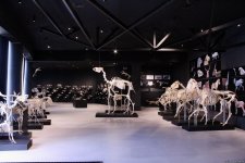 Туристический комплекс грязевых вулканов (Фоторепортаж)