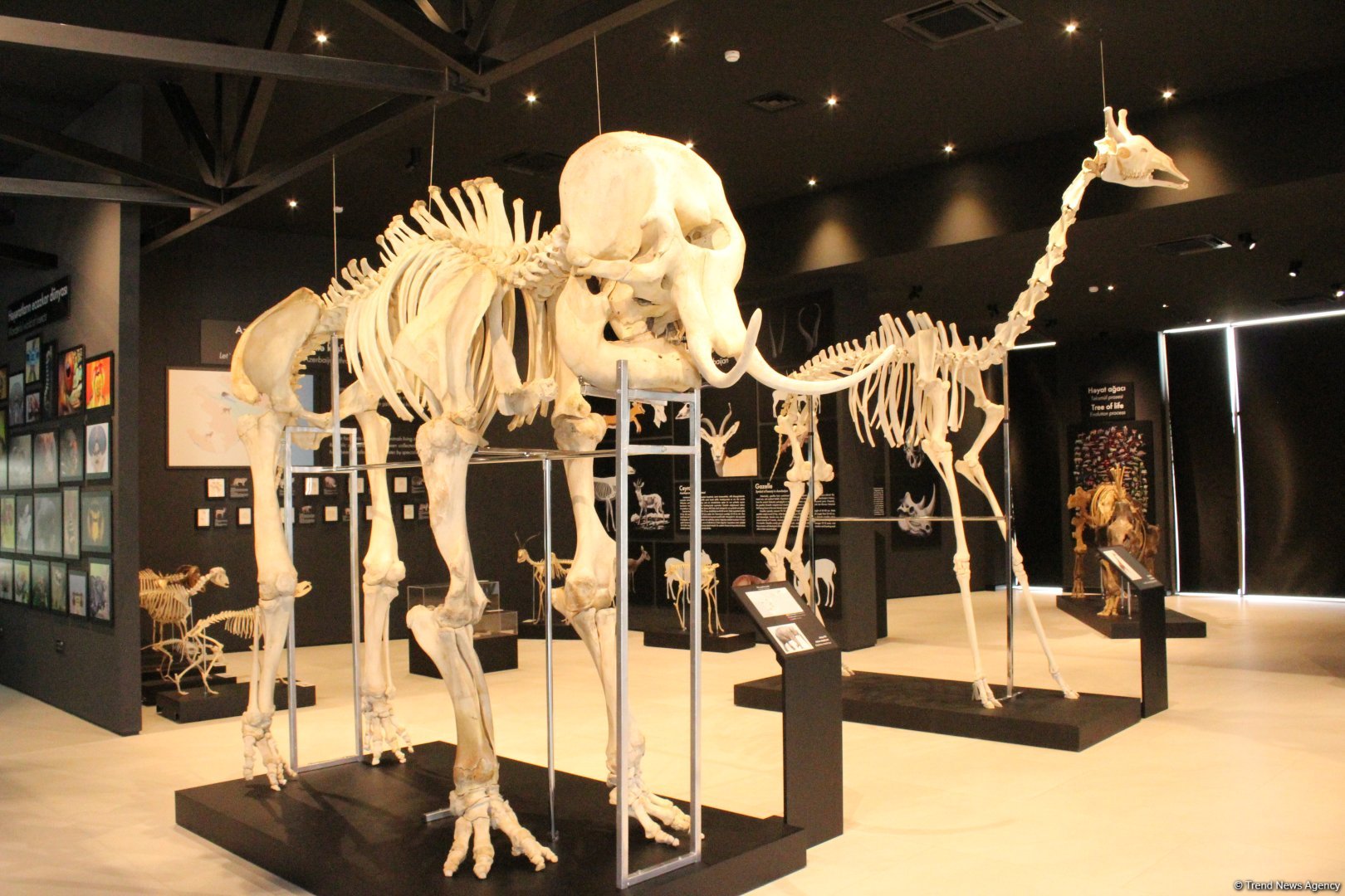 Туристический комплекс грязевых вулканов (Фоторепортаж)