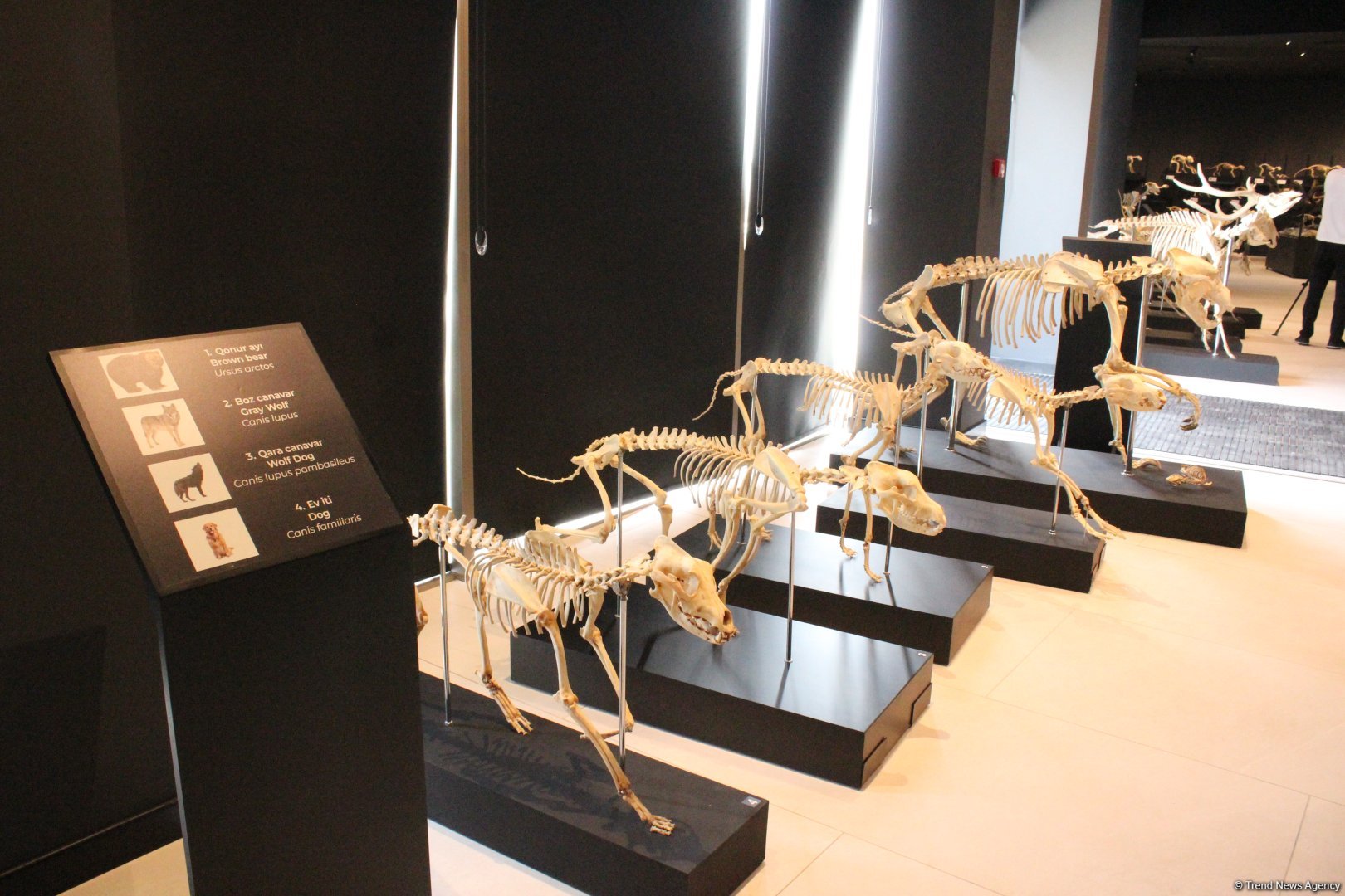 Туристический комплекс грязевых вулканов (Фоторепортаж)