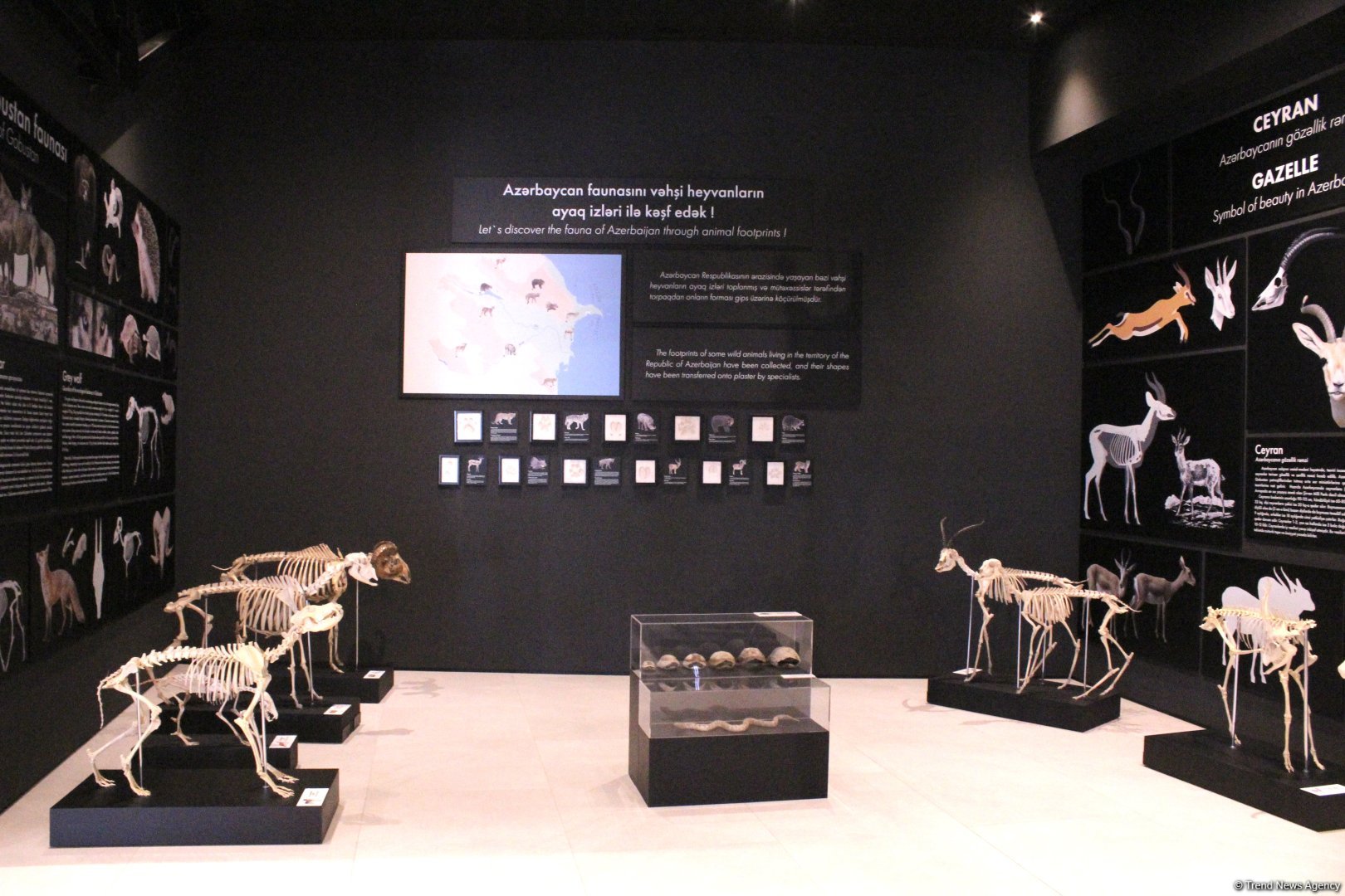 Туристический комплекс грязевых вулканов (Фоторепортаж)