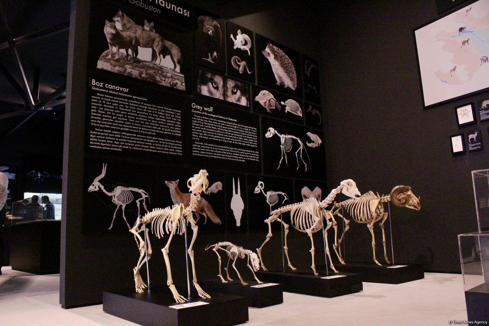 Туристический комплекс грязевых вулканов (Фоторепортаж)