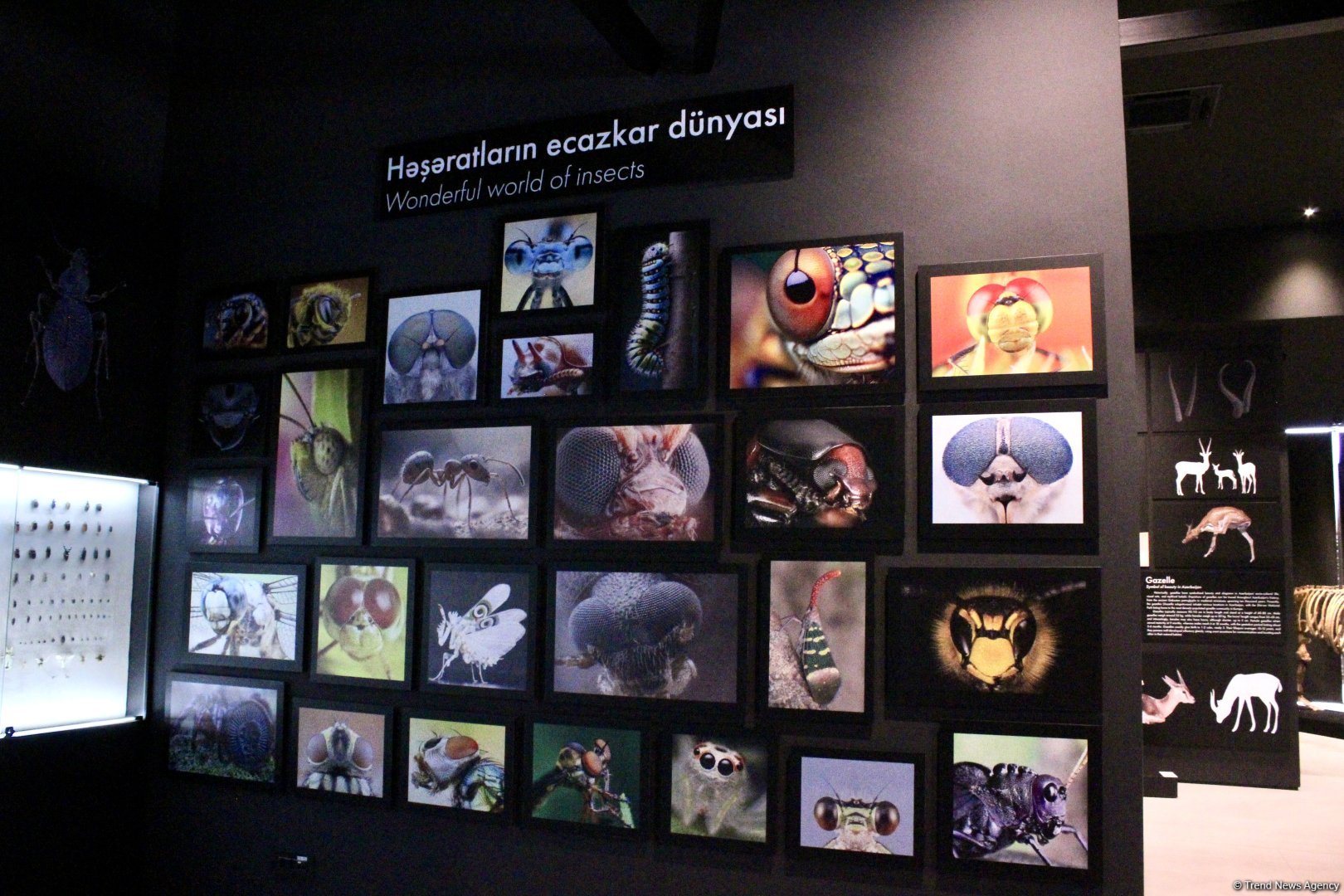 Туристический комплекс грязевых вулканов (Фоторепортаж)