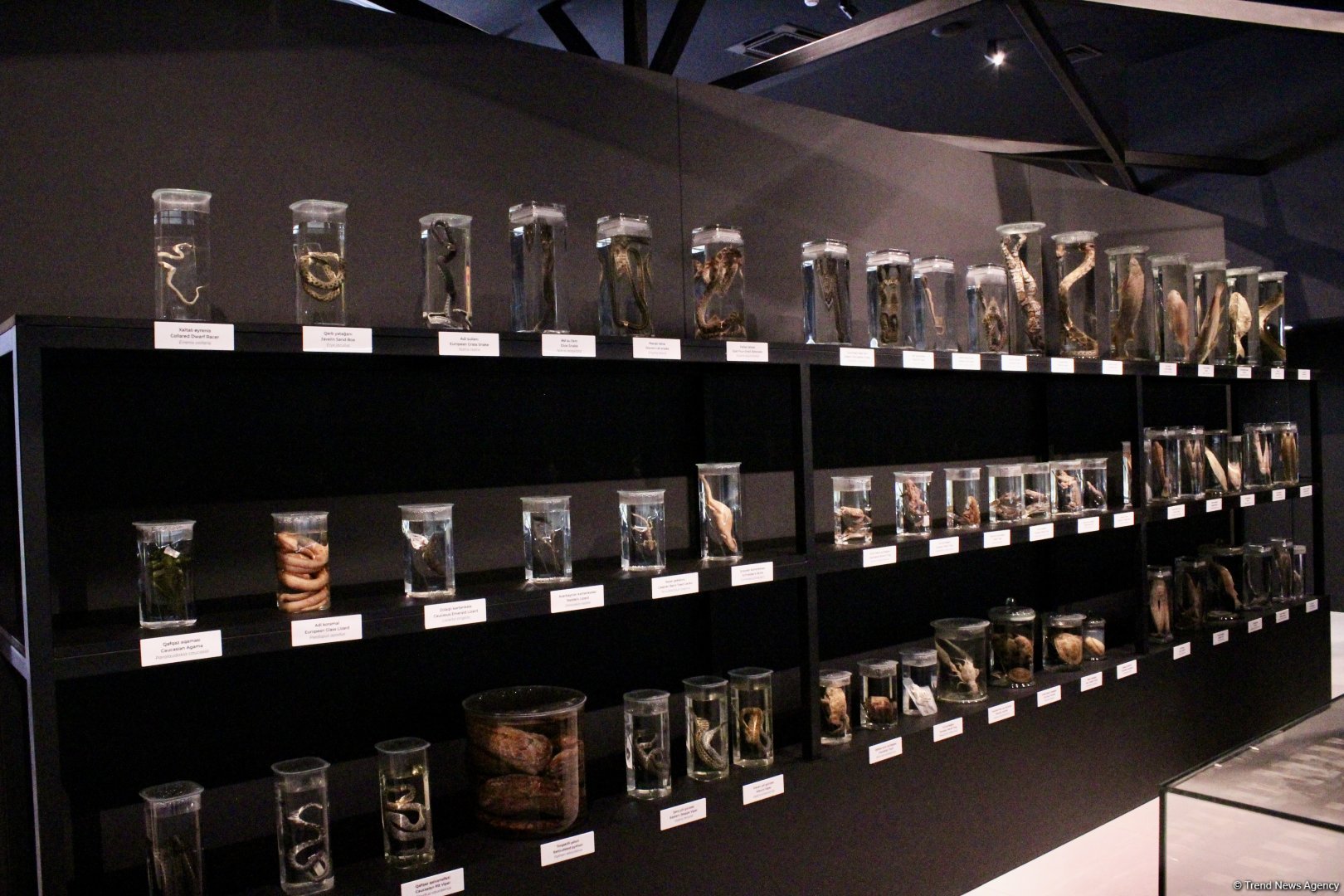 Туристический комплекс грязевых вулканов (Фоторепортаж)