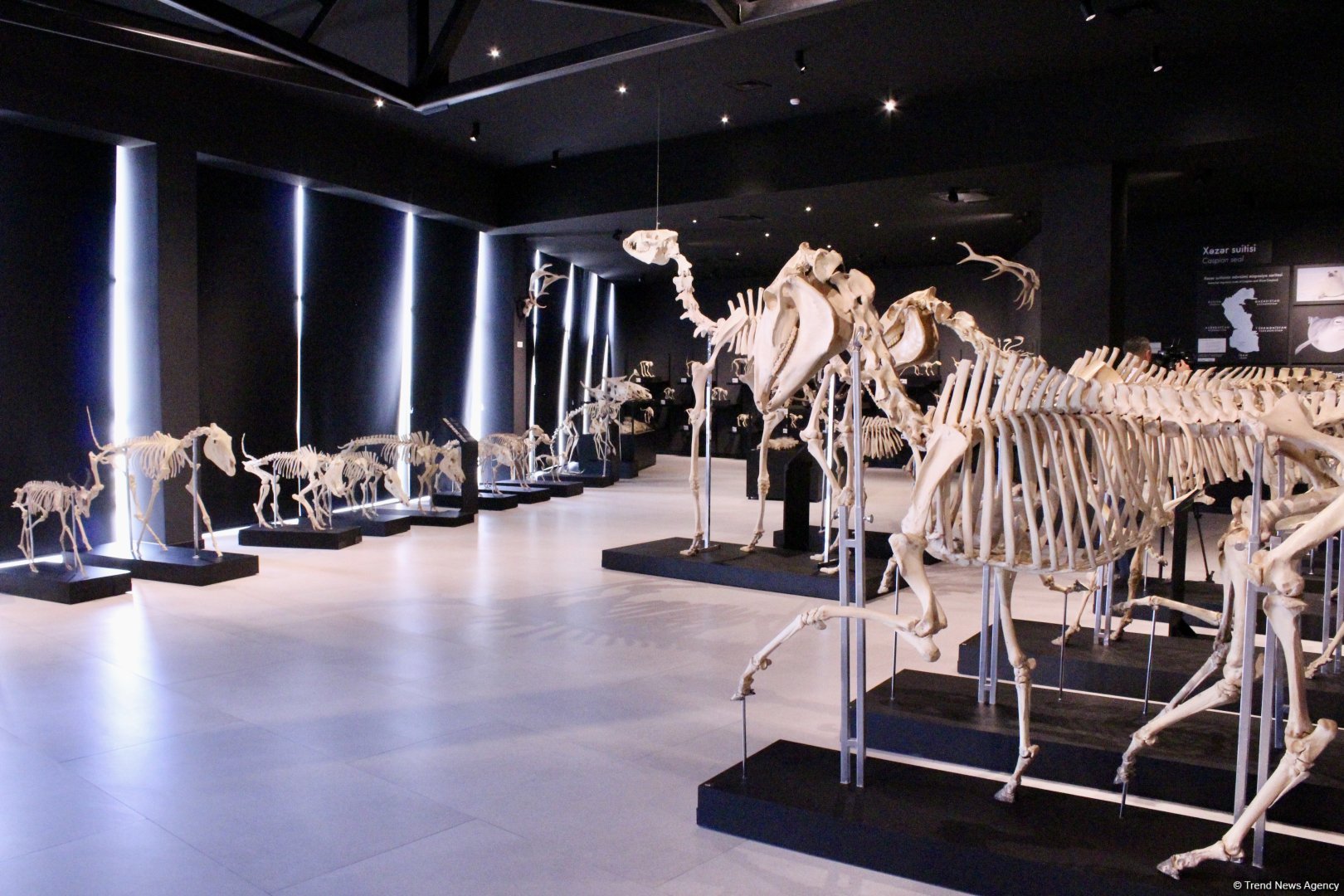 Туристический комплекс грязевых вулканов (Фоторепортаж)