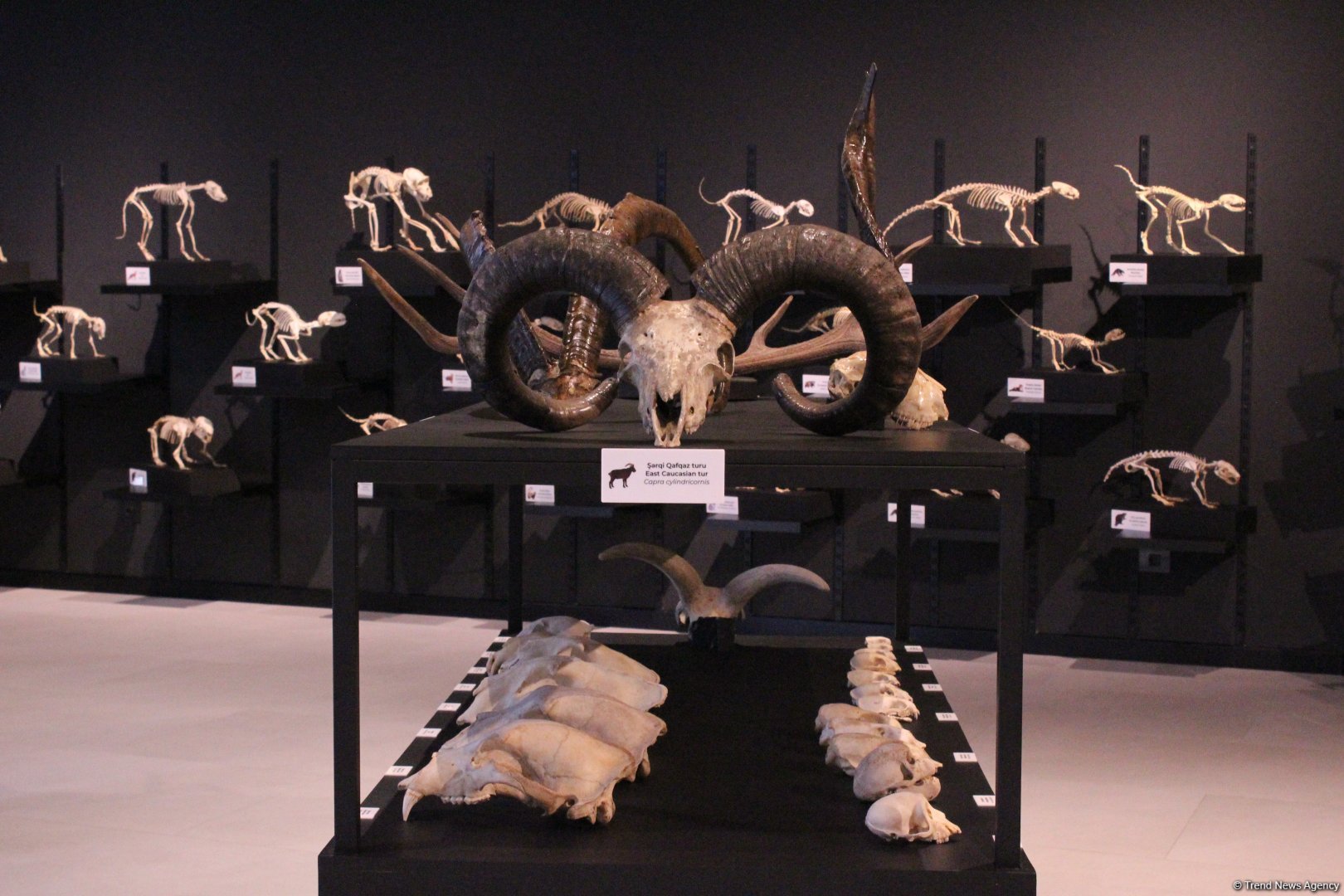 Туристический комплекс грязевых вулканов (Фоторепортаж)