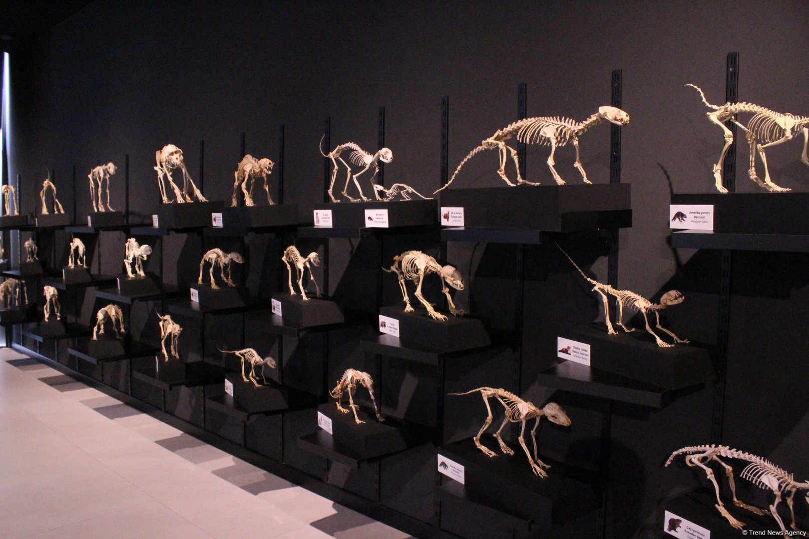 Туристический комплекс грязевых вулканов (Фоторепортаж)