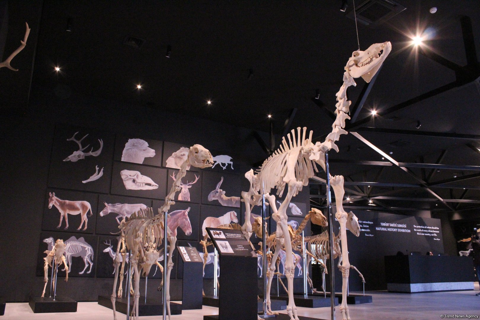 Туристический комплекс грязевых вулканов (Фоторепортаж)