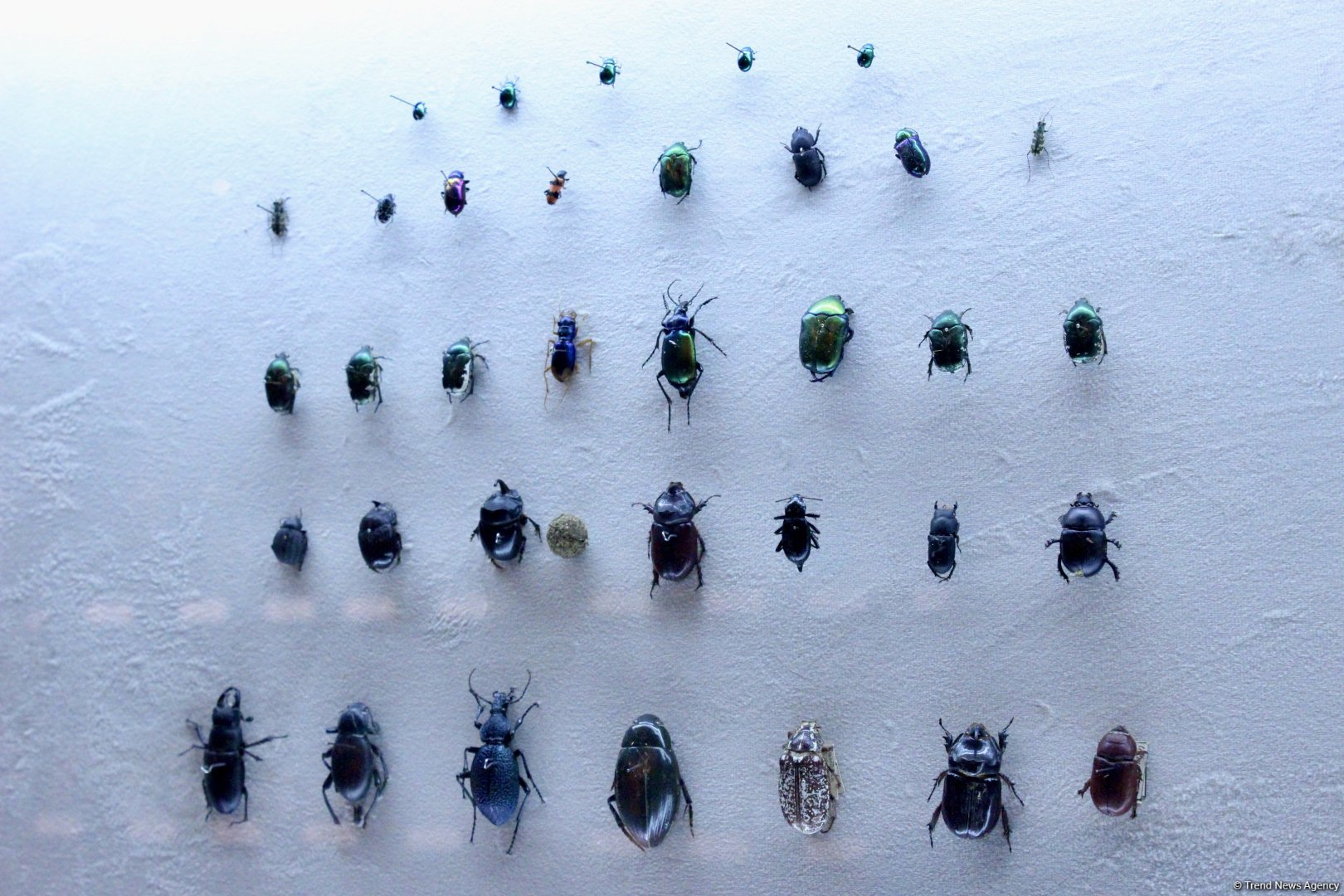 Туристический комплекс грязевых вулканов (Фоторепортаж)