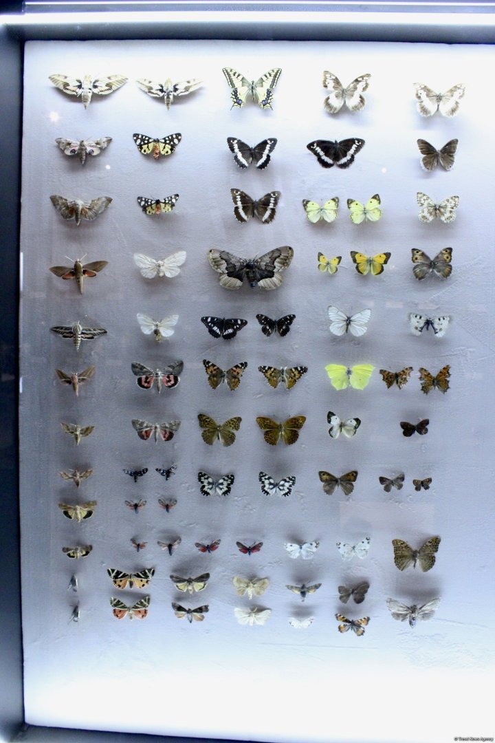 Туристический комплекс грязевых вулканов (Фоторепортаж)