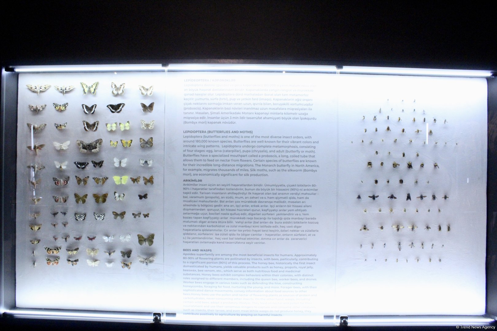 Туристический комплекс грязевых вулканов (Фоторепортаж)