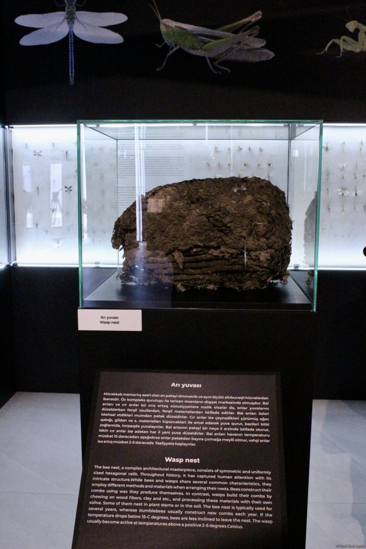 Туристический комплекс грязевых вулканов (Фоторепортаж)