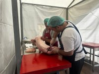 Спустя 32 года жители города Шуша отметили праздник Гурбан у себя на родине (ФОТО)