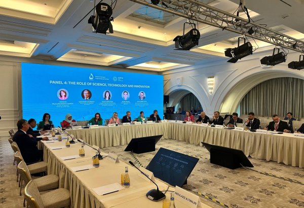 В Баку завершился 2-й день заседания высокого уровня "Дорога к COP29: устойчивое и прочное будущее" (ОБНОВЛЕНО) (ФОТО)