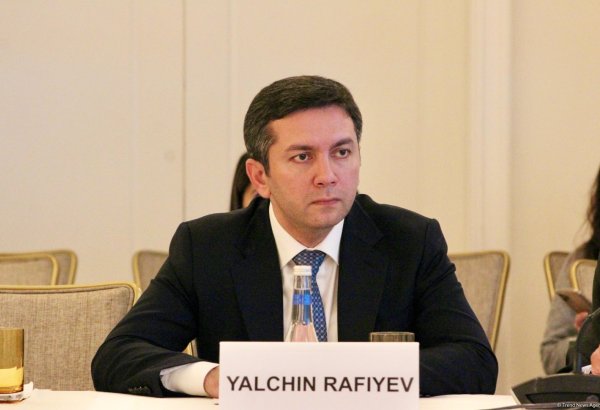 Ожидается, что в COP29 будет принято около 60 заявлений - Ялчин Рафиев