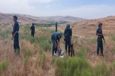 Предотвращен ввоз наркотиков из Ирана на территорию Азербайджана (ФОТО)