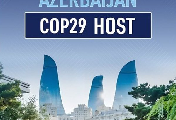 Контроль финансового оборота COP29 осуществляется совместно с высшим органом аудита