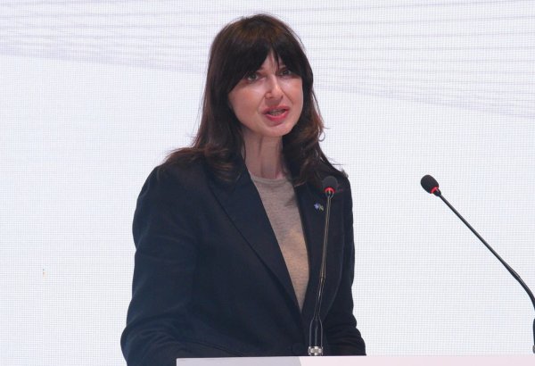 ООН выступает за экономику замкнутого цикла в вопросе утилизации отходов - Владанка Андреева