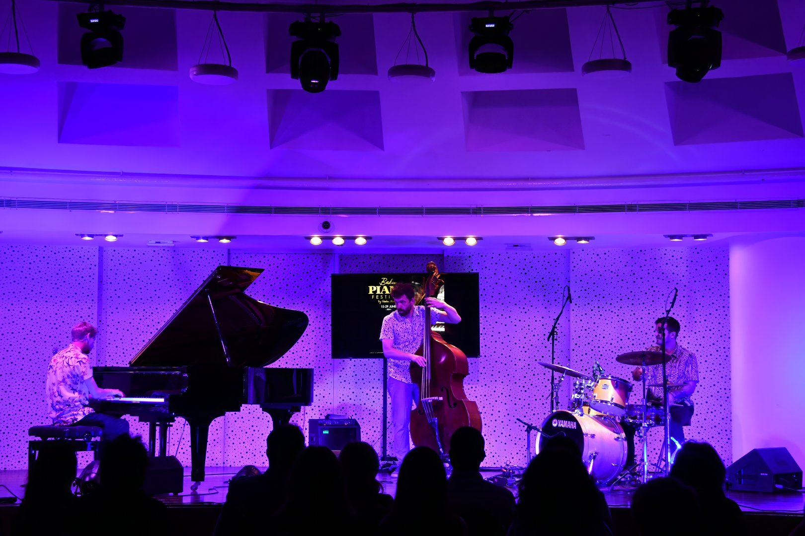 Эмоциональные мотивы Австрии в неоновом свете в Баку (ВИДЕО, ФОТО)